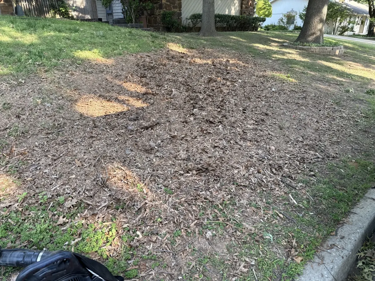 Lawn before service and cleanup