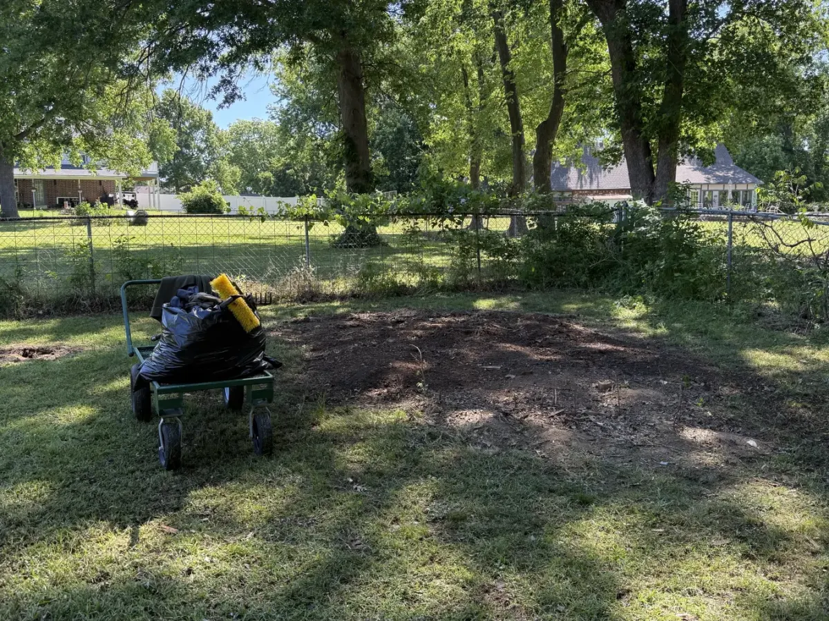 Shed teardown site after cleanup