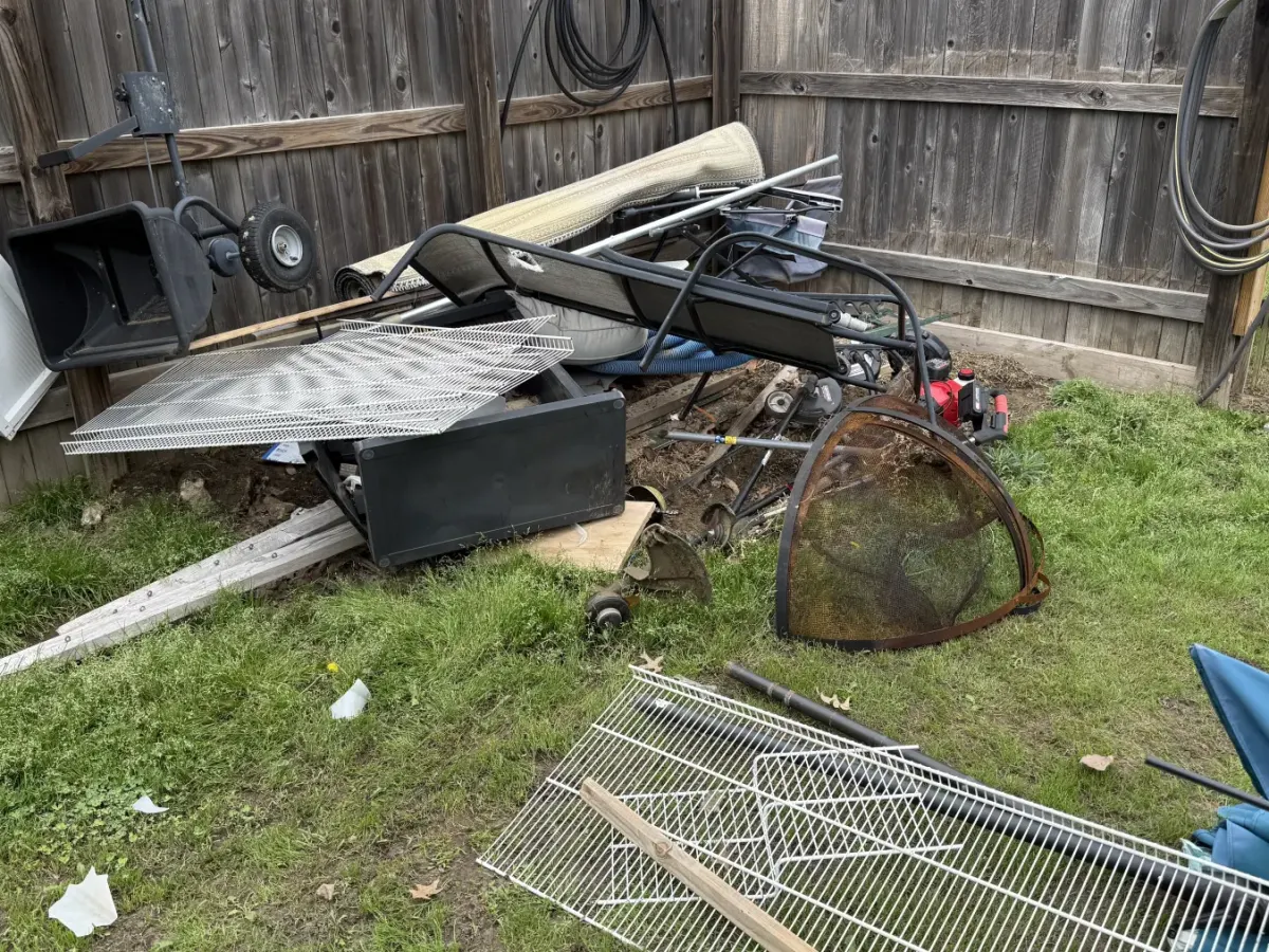Fence line before yard debris cleanup