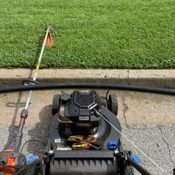 Yard cleanup seasonal service special