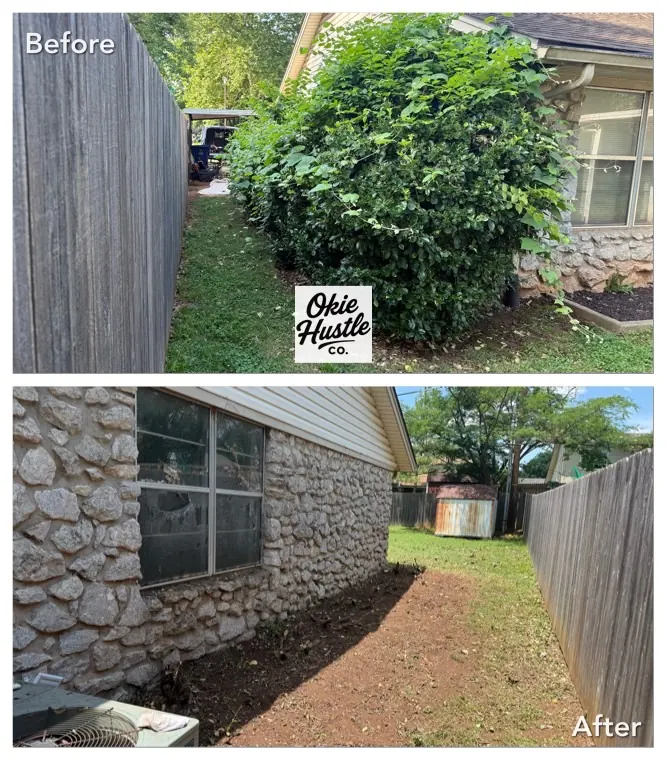 Before and after side yard cleanup with overgrowth removed